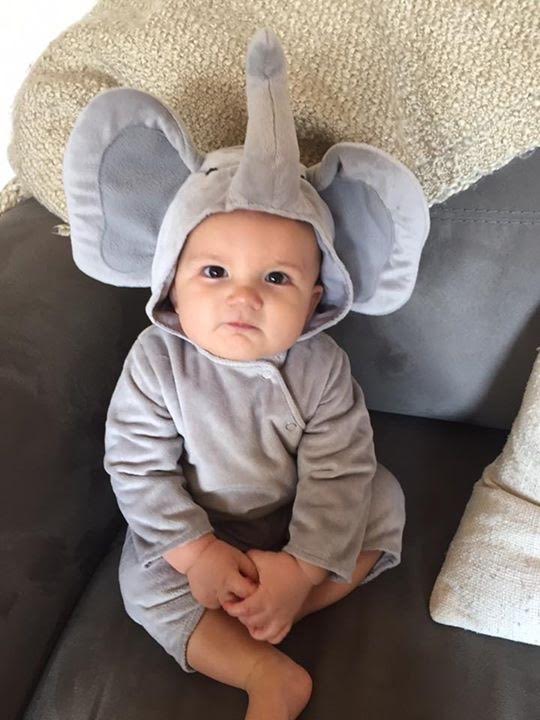 47_babyelephant