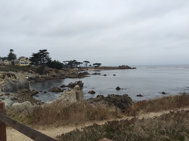 A view from my favorite trail outside downtown Monterey toward Pacific Grove.